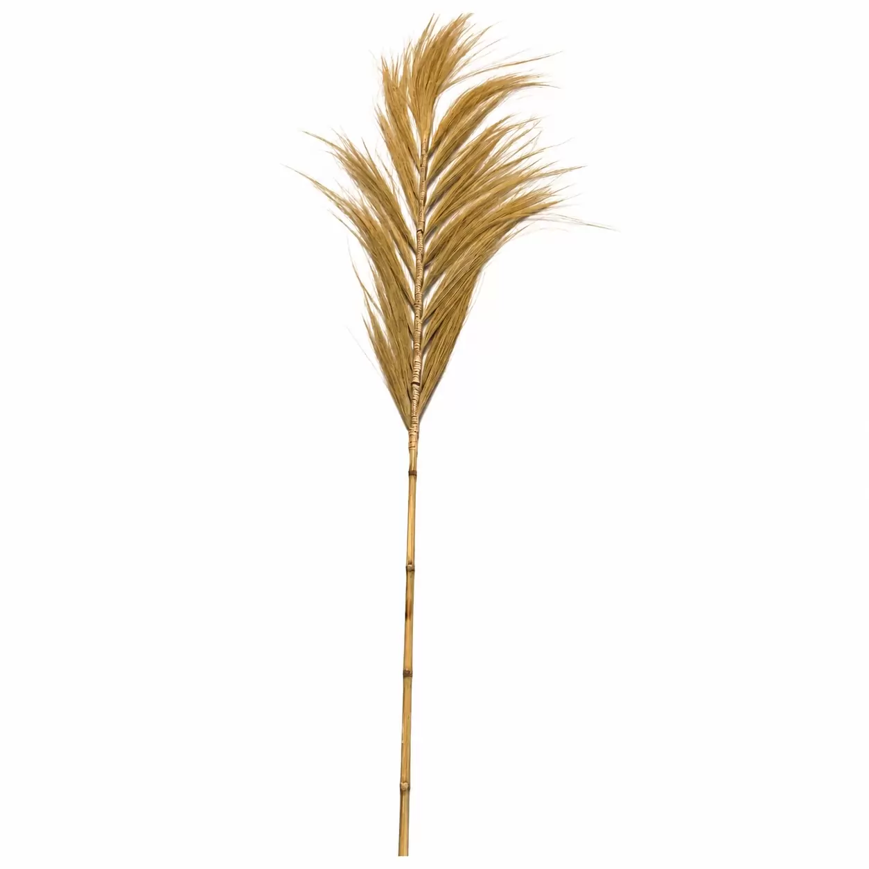 Тревен клас-Grass Leaf on Stick 150см